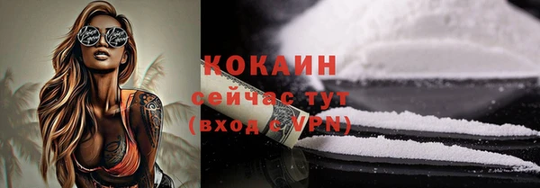 индика Бронницы