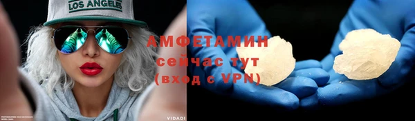 индика Бронницы