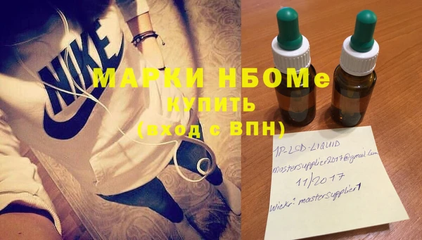 индика Бронницы