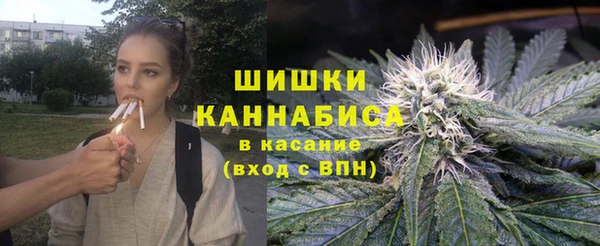 стаф Богородицк