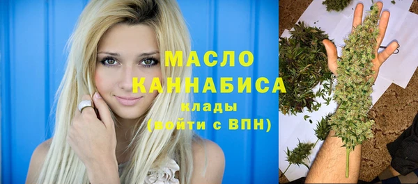 индика Бронницы