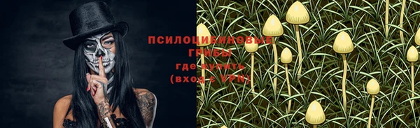 индика Бронницы