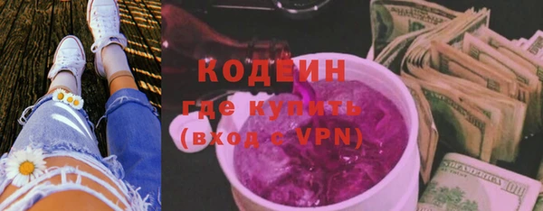 индика Бронницы